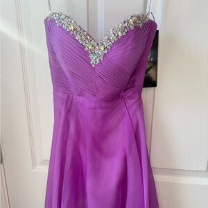 Alyce Paris Purple Embellished Dress